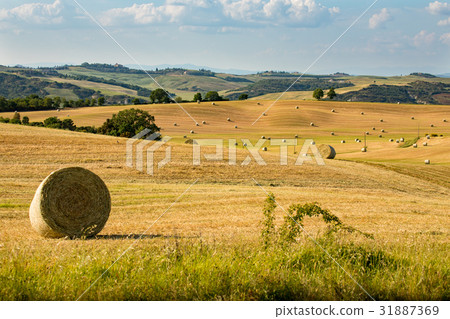 Tuscany scenery, Italy Tuscany scenery, Italy 31887369
