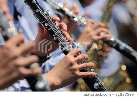 Clarinet 31887580