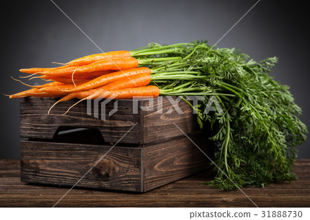 Fresh organic carrot Fresh organic carrot 31888730