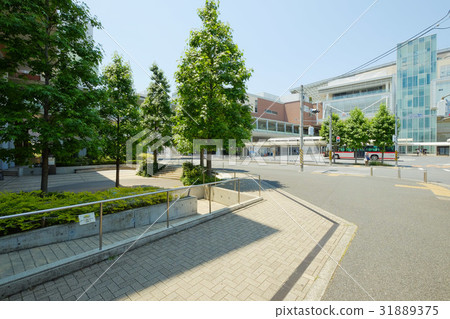 Street tree of Tama Plaza Station South Exit Street tree of Tama Plaza Station South Exit 31889375