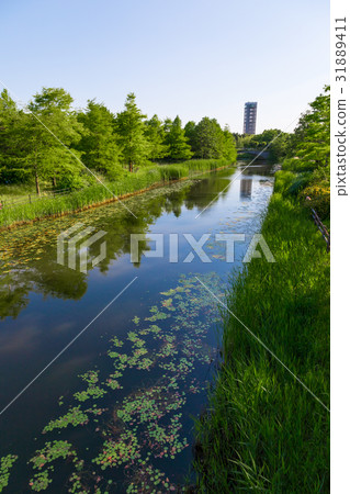 觀景塔Hamana湖花園公園 31889411