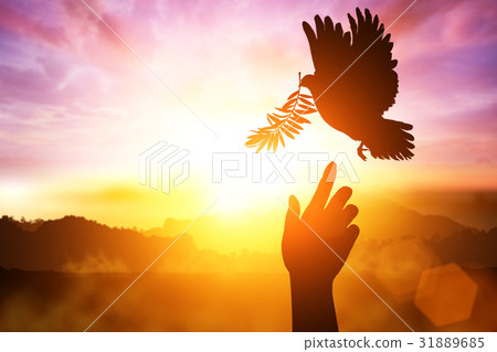 Silhouette of hand  to Dove carrying olive  leaf  31889685