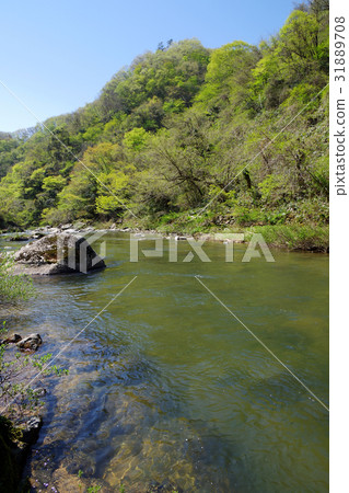 新鮮的綠色天空Kawakami Satoyama Higawa河 31889708