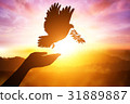 silhouette pigeon flying out of two hand 31889887