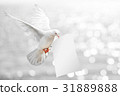 Dove carrying White Paper and Clipping path  31889888