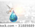 White dove carrying the Earth in water shape  31889889