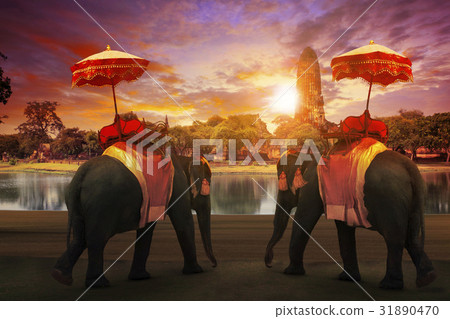 elephant dressing with thai kingdom tradition  31890470