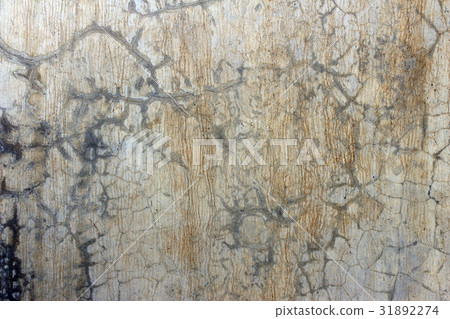 Aged cracked concrete stone plaster wall  31892274