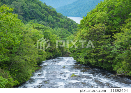 Ryuzo Noboraki Takigami Ryuzo Noboraki Takigami 31892494