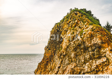 Sasagawa流動的風景 Sasagawa流動的風景 31894228
