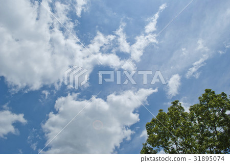 Cumulus Cumulus 31895074