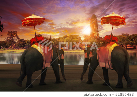 elephant dressing with thai kingdom tradition  31895488