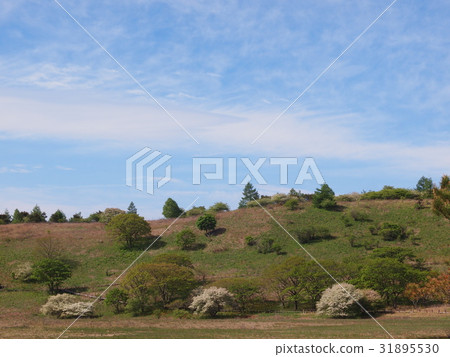 Yashima Marshara Nagano Prefecture Shimosuwa-machi 31895530