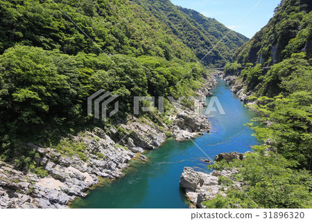 德島縣三好大北峽谷 德島縣三好大北峽谷 31896320