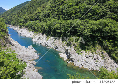 德島縣三好大北峽谷 德島縣三好大北峽谷 31896322