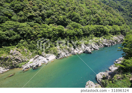 德島縣三好大北峽谷 德島縣三好大北峽谷 31896324