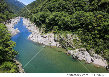 德島縣三好大北峽谷 德島縣三好大北峽谷 31896325
