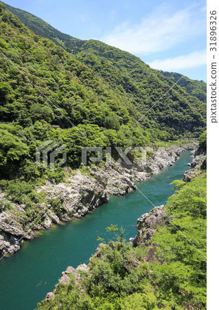 德島縣三好大北峽谷 德島縣三好大北峽谷 31896326