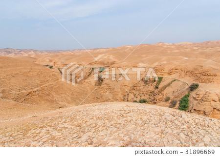 Wadi Qelt in Judean desert around St. George 31896669