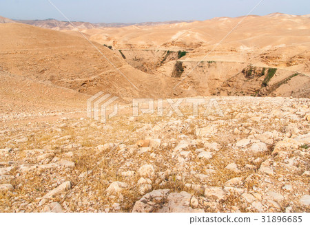 Wadi Qelt in Judean desert around St. George 31896685