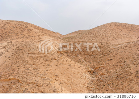 Wadi Qelt in Judean desert around St. George 31896710