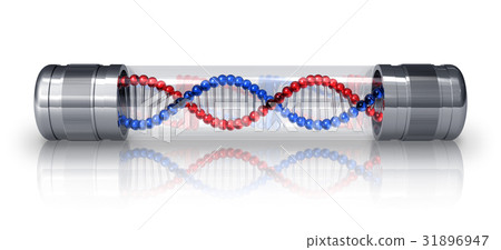 DNA molecule in hermetic capsule 31896947