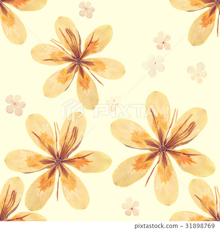 Pressed and dried flowers pattern Pressed and dried flowers pattern 31898769