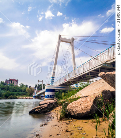 Cable-stayed suspension pedestrian bridge Cable-stayed suspension pedestrian bridge 31900944