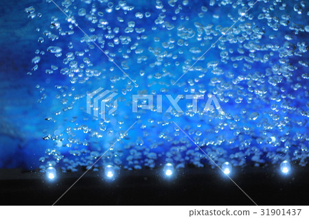 圖像水族館泡沫 31901437