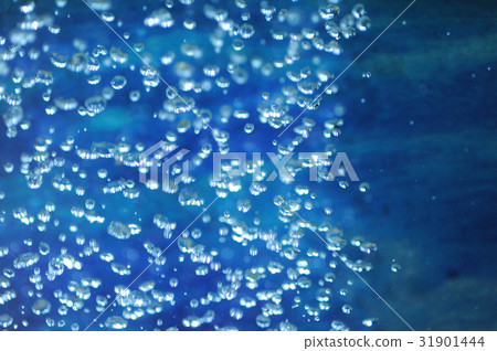 Image aquarium foam Image aquarium foam 31901444