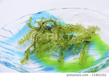 Sea grapes and Ryukyu glass dishes Sea grapes and Ryukyu glass dishes 31902202