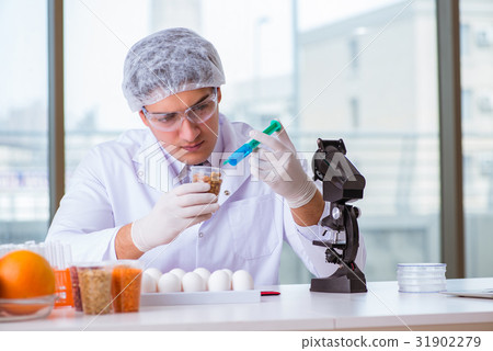 Nutrition expert testing food products in lab Nutrition expert testing food products in lab 31902279