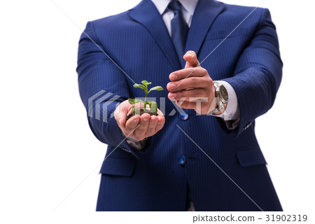 Businessman holding green sprouts isolated on 31902319