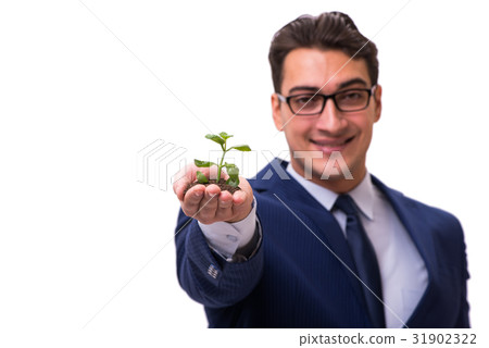 Businessman holding green sprouts isolated on 31902322