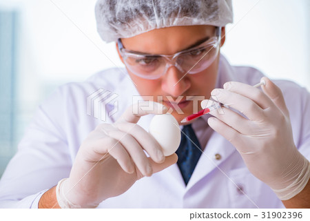 Nutrition expert testing food products in lab Nutrition expert testing food products in lab 31902396