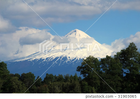 Snow capped peak of Volcano Llaima, Conguillio 31903065