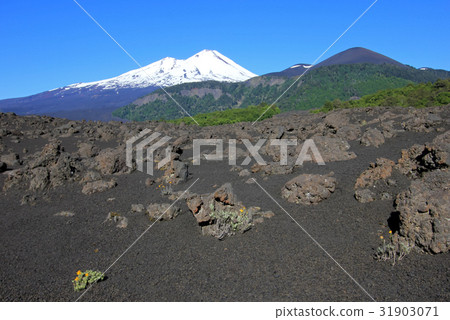 Snow capped peak of Volcano Llaima, Conguillio 31903071