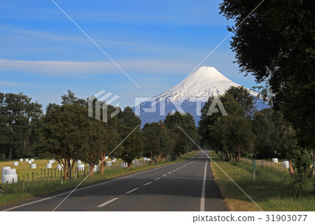 Road leading to Osorno Volcano, Patagonia, Chile Road leading to Osorno Volcano, Patagonia, Chile 31903077