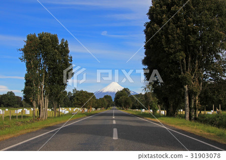 Road leading to Osorno Volcano, Patagonia, Chile 31903078