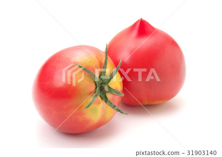 蕃茄 31903140