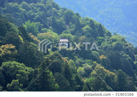京都Arashiyama Kameyama公園新的綠色風景 京都Arashiyama Kameyama公園新的綠色風景 31903166