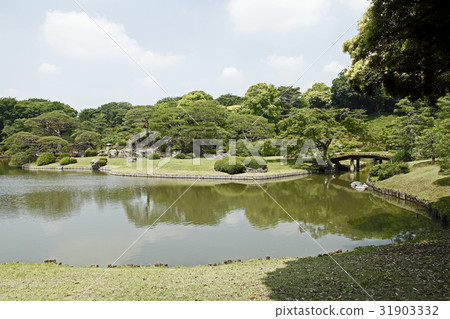 大泉水(Rokugi-en:Hon Komei) 大泉水(Rokugi-en:Hon Komei) 31903332