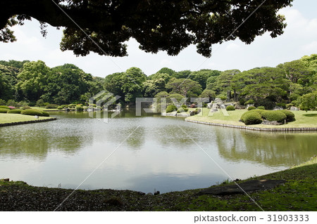 大泉水(Rokugi-en:Hon Komei) 大泉水(Rokugi-en:Hon Komei) 31903333