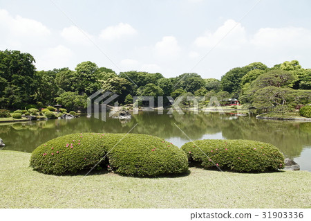 Oizumi water (Rokugi-en: Hon Komei) 31903336