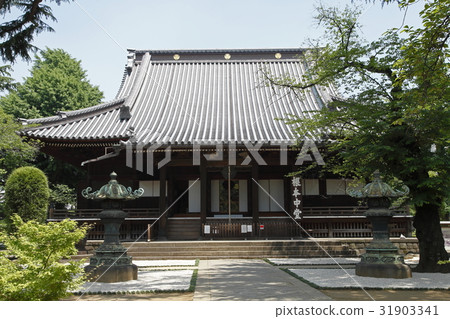 Nemoto Nakadori（Kanonaga：上野崎） 31903341