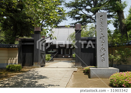 Nemoto Nakadori（Kanonaga：上野崎） 31903342