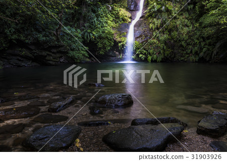 瀑布,風景,沖繩。 瀑布,風景,沖繩。 31903926