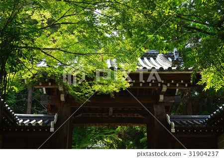 新鮮的綠色京都Arashiyama Horinji 31904237