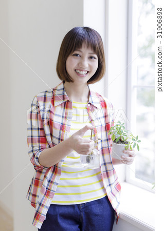 日本婦女在植物上種植水 日本婦女在植物上種植水 31906898