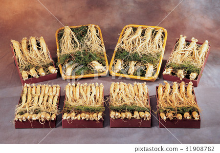 Ginseng Ginseng 31908782